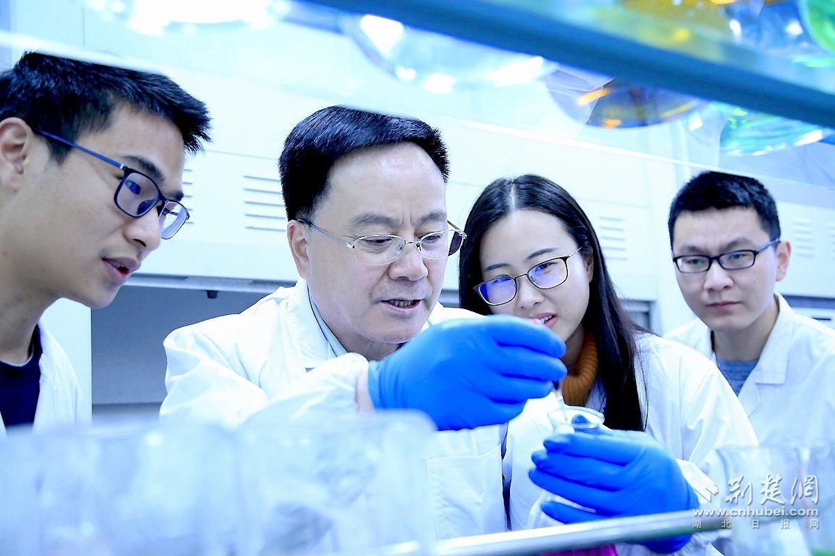 武科大战略钒资源利用团队师生